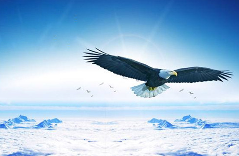 山东万宸集成房屋有限公司